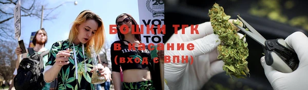 трава Елабуга