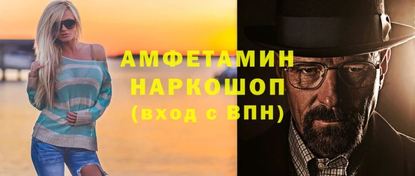 ешки Ельня
