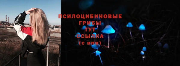ешки Ельня
