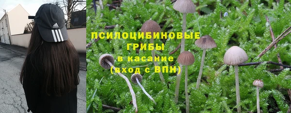 трава Елабуга