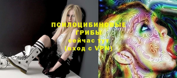 ешки Ельня