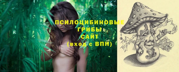 трава Елабуга