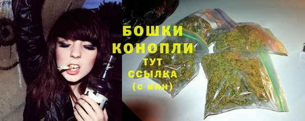 трава Елабуга