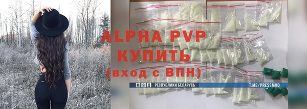 ешки Ельня